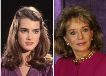 Brooke Shields says it was ‘really unconscionable’ that Barbara Walters asked about her body measurements on television when she was just 15