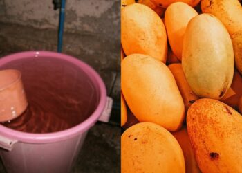 10 things Filipinos can’t live without