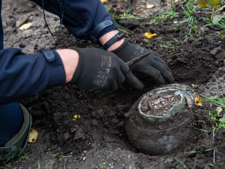 Soldiers in Ukraine report using everything from nearby dead animals, fiberglass rods, and ropes and hooks to identify and detonate Russian land mines