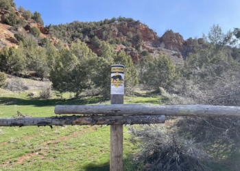 Mountain lion ambushes 70-year-old hiker in Utah canyon. He fought it off with rocks