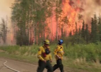 Alberta wildfires destroy two million acres of land