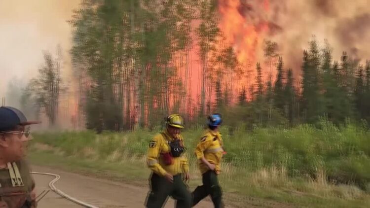 Alberta wildfires destroy two million acres of land