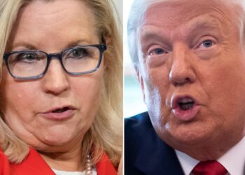 Former Rep. Liz Cheney Baits Donald Trump And The MAGA Mob In New Attack Ad
