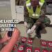 Cocaine labeled with swastika seized in Peru