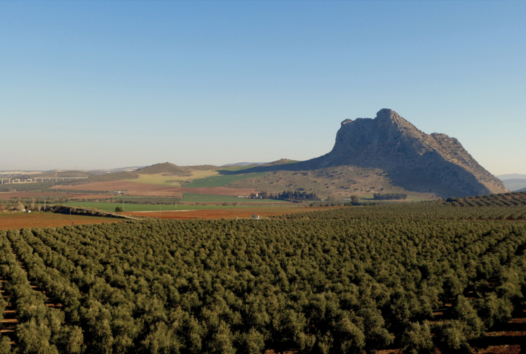 Ancient stone monument in Spain hid a 5,000-year-old secret — until now. Check it out