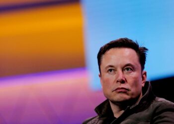 What were FDA’s concerns over Elon Musk’s Neuralink chip?