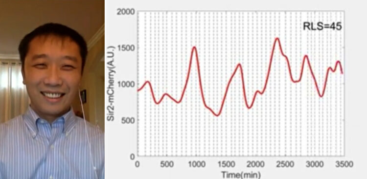 Chinese researchers at UCSD help discover way to potentially increase lifespan by 82%
