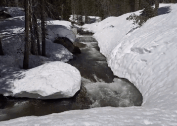 Creeks Gush in Sierra Nevada as Melting of Historic Snowpack Intensifies