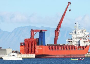 ‘We didn’t approve arms to Russia’: S. Africa minister