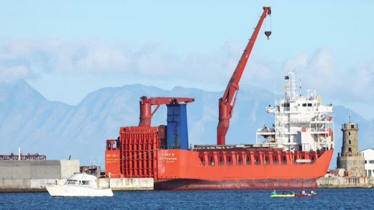 ‘We didn’t approve arms to Russia’: S. Africa minister