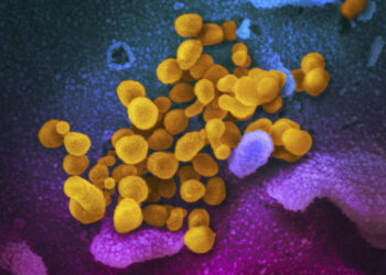 US study finds 1 in 10 get long COVID after omicron, starts identifying key symptoms