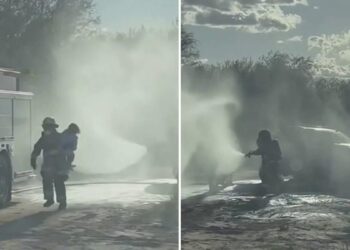 Bees swarm Arizona family during photo shoot, sting mother more than 75 times as she protects kids