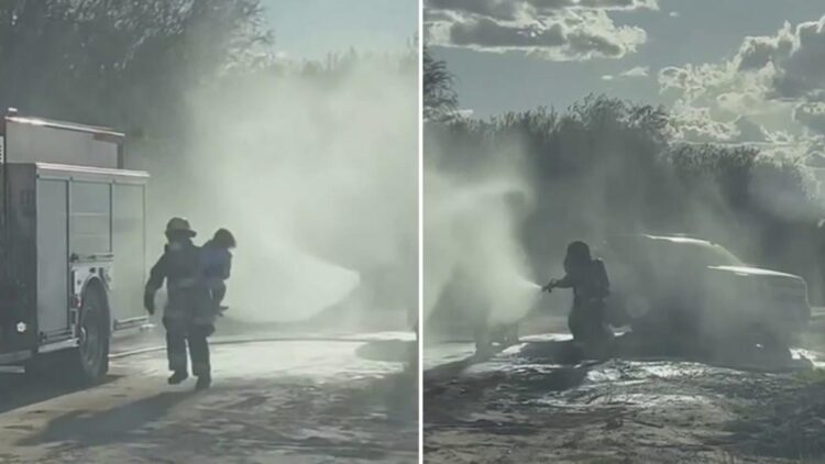 Bees swarm Arizona family during photo shoot, sting mother more than 75 times as she protects kids