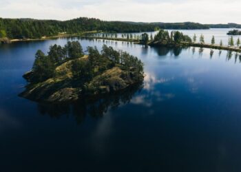 One of Putin’s closest friends built him a .2 million fishing villa in Finland, then had to scrap it when the Russian leader showed up and wasn’t keen on fishing in the country: report