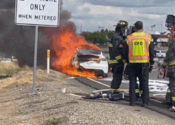 Tesla Asks Model Y Owner To Tow Burned-Out Car To Service Center