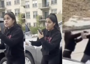 Viral video shows woman attacking group of Asians following LA car collision