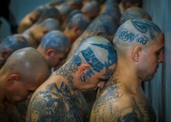 El Salvador claims zero murders committed for a year after gang crackdown