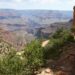 36-year-old tourist dies hiking popular Grand Canyon National Park trail, rangers say