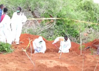 More bodies found as Kenya looks for cult victims