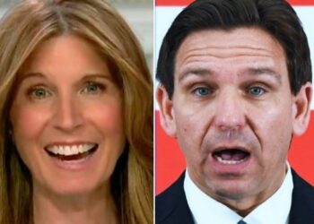 Nicolle Wallace Literally Laughs Out Loud At Ron DeSantis’ Bizarre Promise