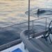 Killer whales wreck boat in latest attack off Spain