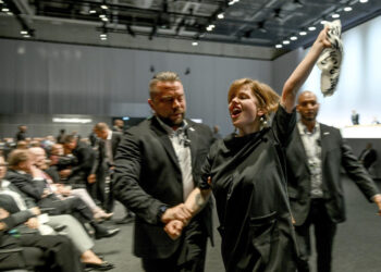 Topless protester briefly disrupts VW annual meeting
