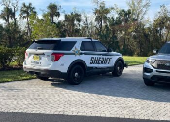 Deputy collapses and dies after disarming 18-year-old suspect, Florida sheriff says