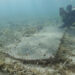 Underwater cemetery found off Dry Tortugas National Park
