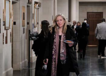 Resolve debt limit dispute or no pay for U.S. lawmakers, House Democrat says