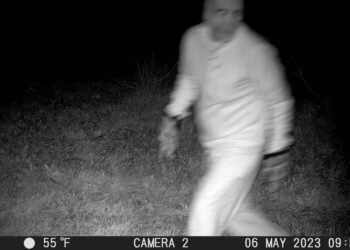 Cops hoping to spot lurking mountain lion set up camera. Something menacing appeared