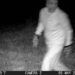 Cops hoping to spot lurking mountain lion set up camera. Something menacing appeared