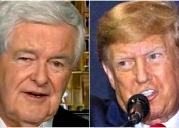 Newt Gingrich’s Unintentional Burn Of Donald Trump Is Priceless