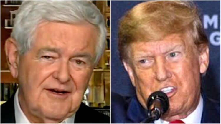 Newt Gingrich’s Unintentional Burn Of Donald Trump Is Priceless