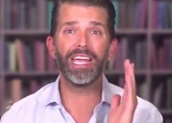 Donald Trump Jr. Accidentally Insults His Dad In Botched Attempt To Dis DeSantis