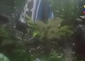 Four children found alive weeks after plane crash