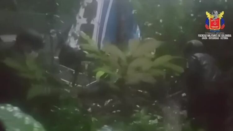 Four children found alive weeks after plane crash