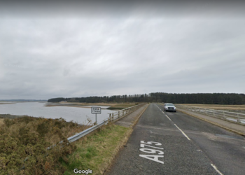 ‘Very rare’ creature named Elvis eluded photographer for years. He finally spotted it