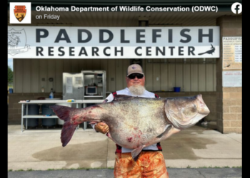 Angler’s 118-pound catch breaks Oklahoma record — and officials are thanking him