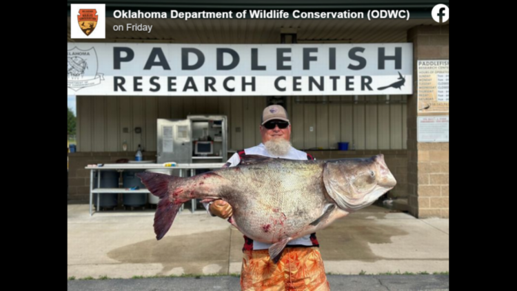 Angler’s 118-pound catch breaks Oklahoma record — and officials are thanking him