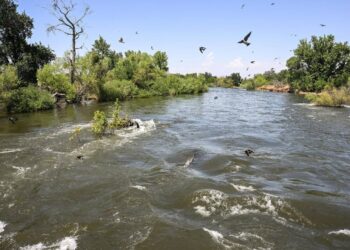 Don’t swim in these Central California rivers, officials warn. 2 people still missing