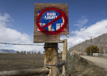 Bud Light sales decline sends ABInBev shares sliding