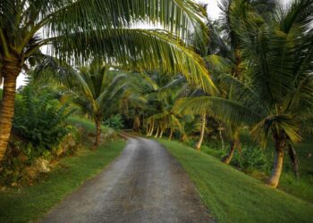 Jamaican Owner of Vacation Rental Company Says No More Black American Guests