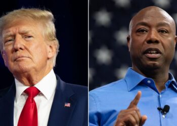 Hear Trump’s response to Sen. Tim Scott’s presidential bid