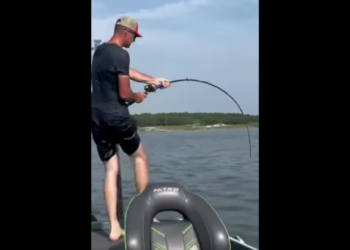 Fishing guide reels in ‘once in a lifetime catch.’ Check out the ‘unicorn’ creature