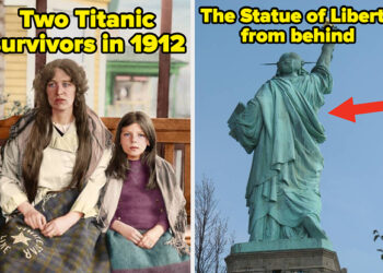 My Microscopic Little Pea Brain Is Totally Blown After Seeing These 19 Absolutely Incredible Pictures For The Very First Time Last Week