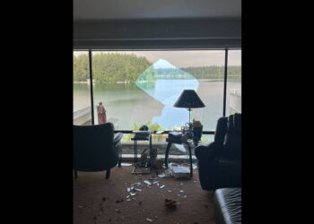 Couple races to stop home intruder at Washington home — then they see a massive wing