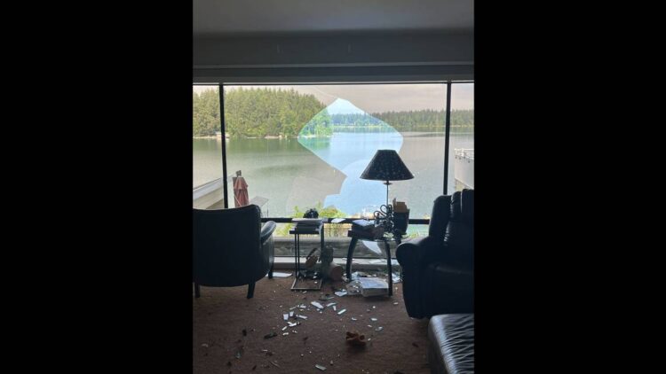 Couple races to stop home intruder at Washington home — then they see a massive wing