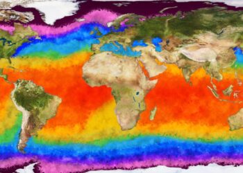 Significant El Niño event is almost guaranteed this year, experts warn. And it could be a big one.