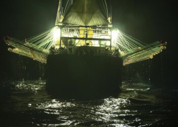 China’s squid fleet avoids Peru to dodge new port law