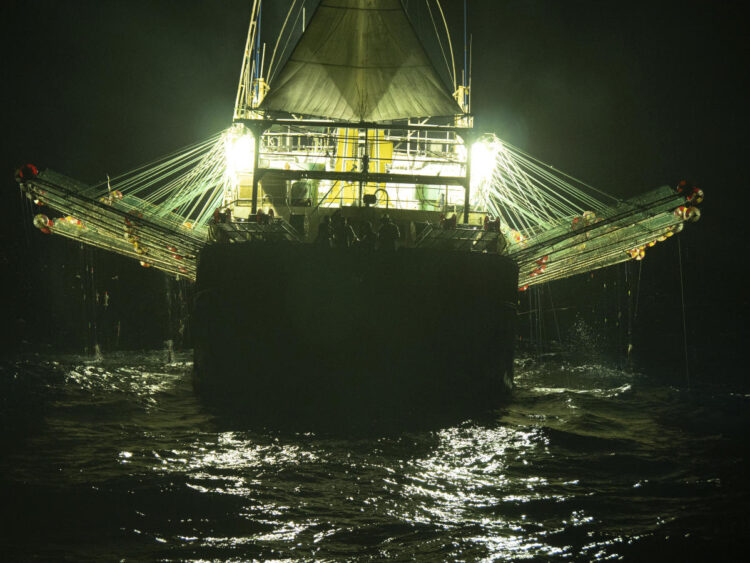 China’s squid fleet avoids Peru to dodge new port law